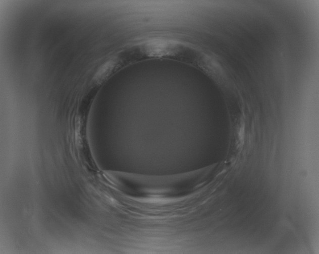 X0000081370219200701111556