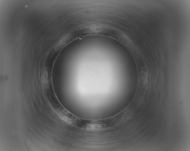 X0000081370220200701111556