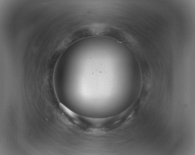 X0000081370221200701111556