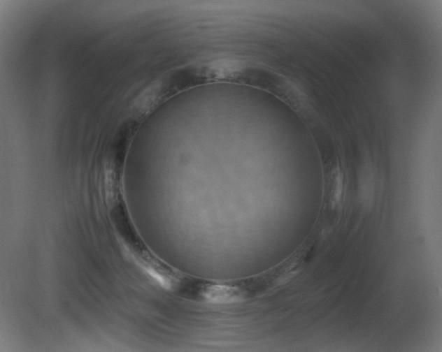 X0000081370222200701111556