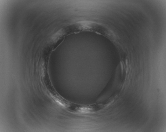 X0000081370223200701111556