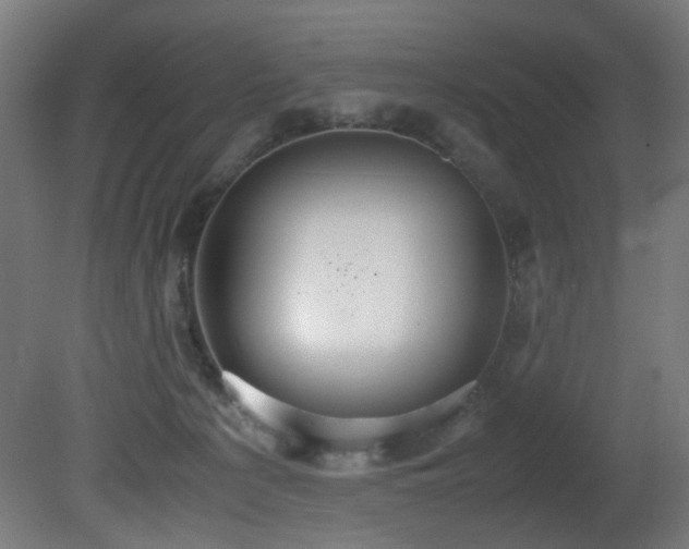 X0000081370225200701111556