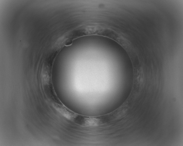 X0000081370226200701111556