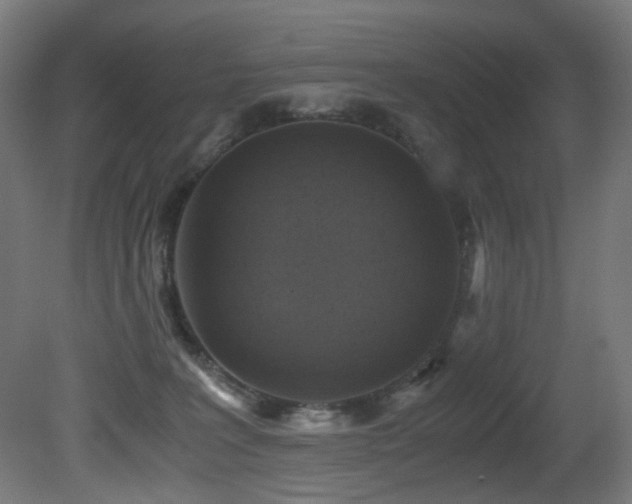 X0000081370227200701111556