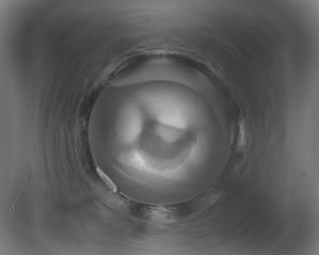 X0000081370229200701111556