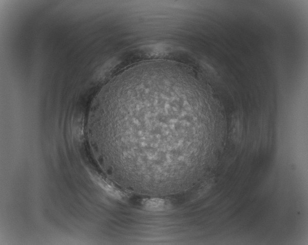 X0000081370230200701111556