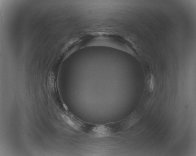 X0000081370231200701111556