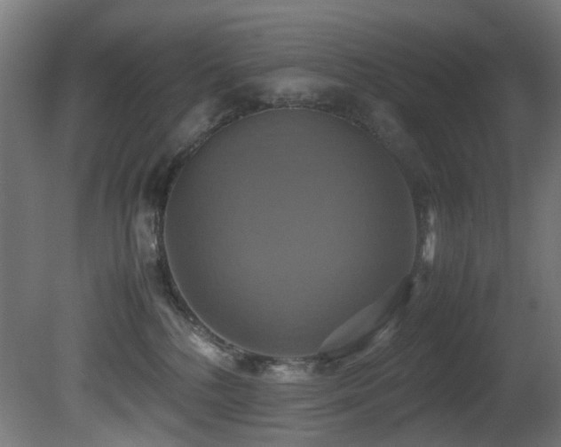 X0000081370232200701111556