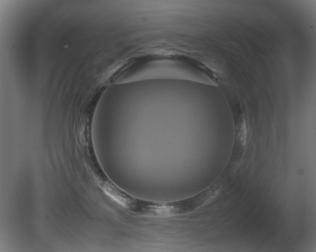 X0000081370233200701111556