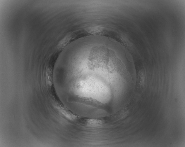 X0000081370234200701111556