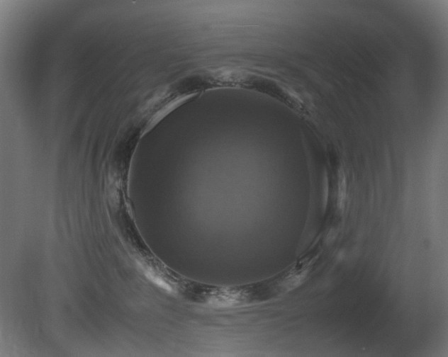 X0000081370235200701111556
