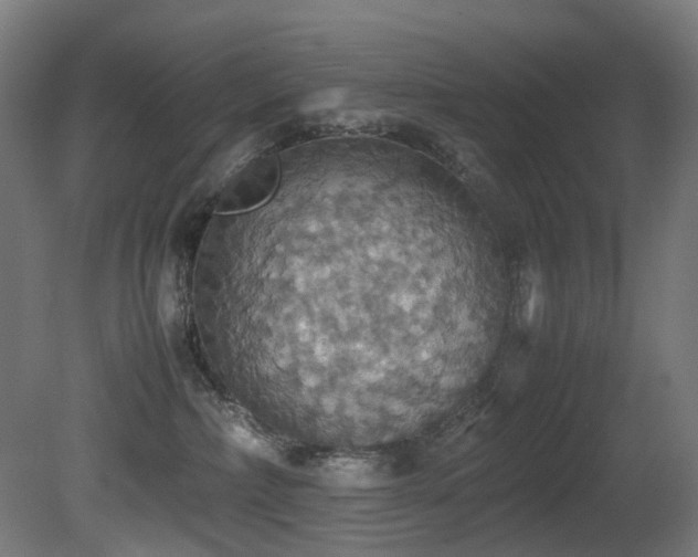 X0000081370236200701111556