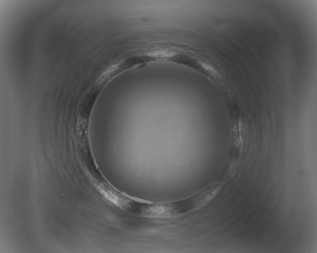 X0000081370237200701111556