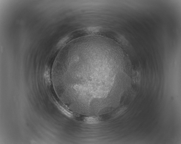 X0000081370238200701111556
