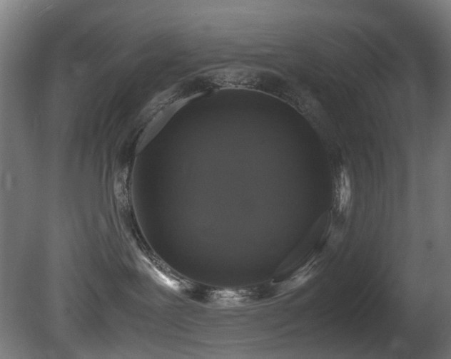X0000081370239200701111556