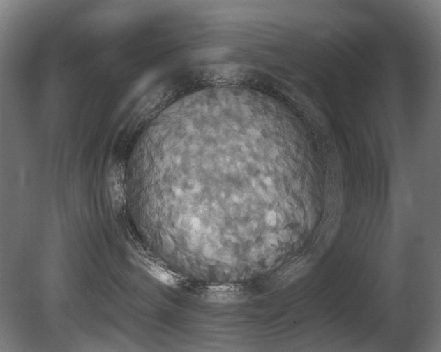 X0000081370240200701111556