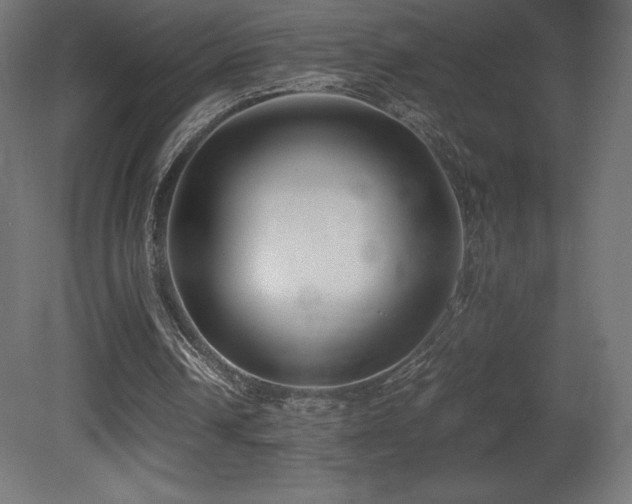 X0000081370242200701111555
