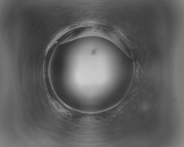 X0000081370244200701111555