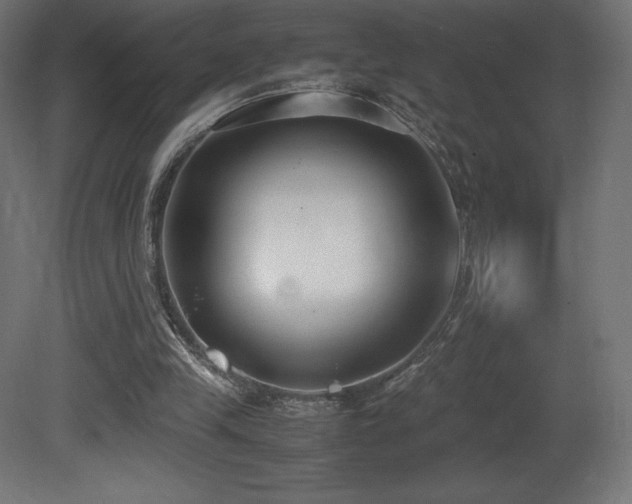 X0000081370245200701111555