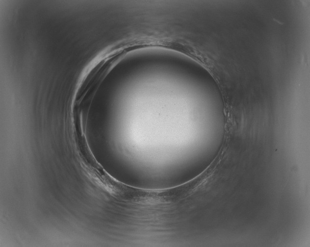 X0000081370246200701111555