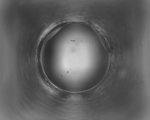 X0000081370248200701111555