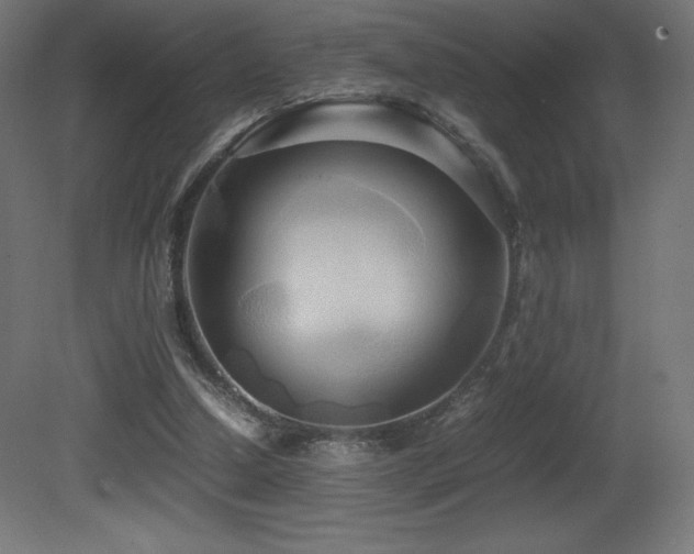 X0000081370250200701111555
