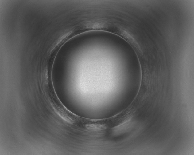 X0000081370251200701111555