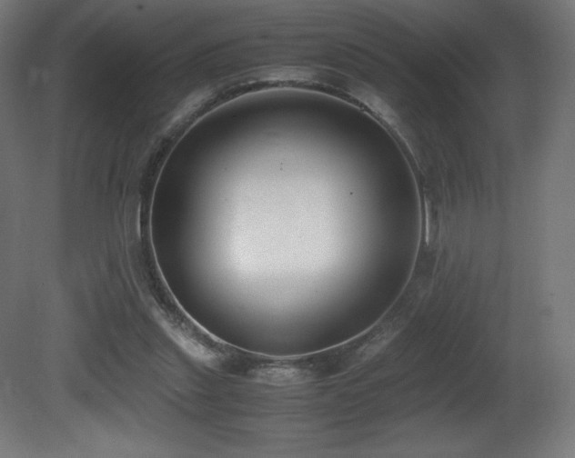 X0000081370253200701111555