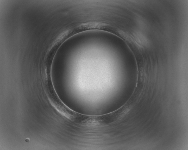 X0000081370254200701111555