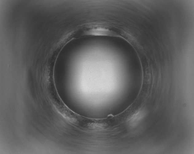X0000081370255200701111555
