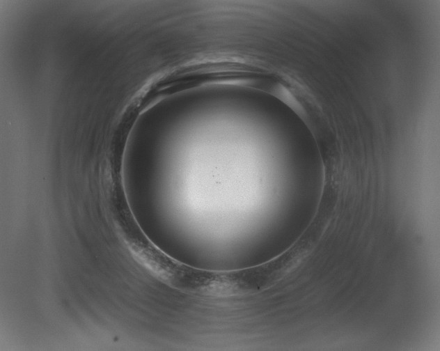 X0000081370256200701111555