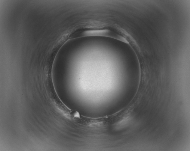 X0000081370257200701111555