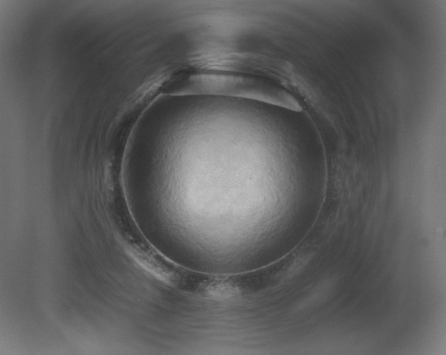 X0000081370258200701111555
