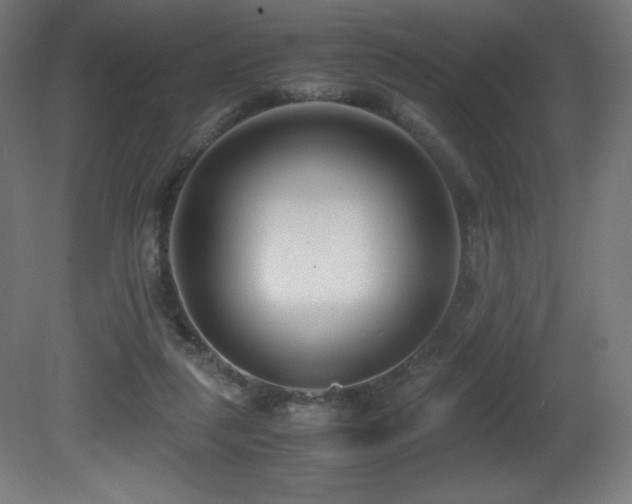 X0000081370259200701111555