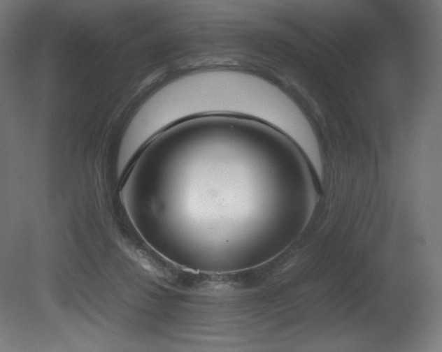 X0000081370260200701111555