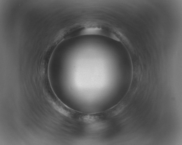 X0000081370261200701111555