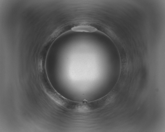 X0000081370262200701111555