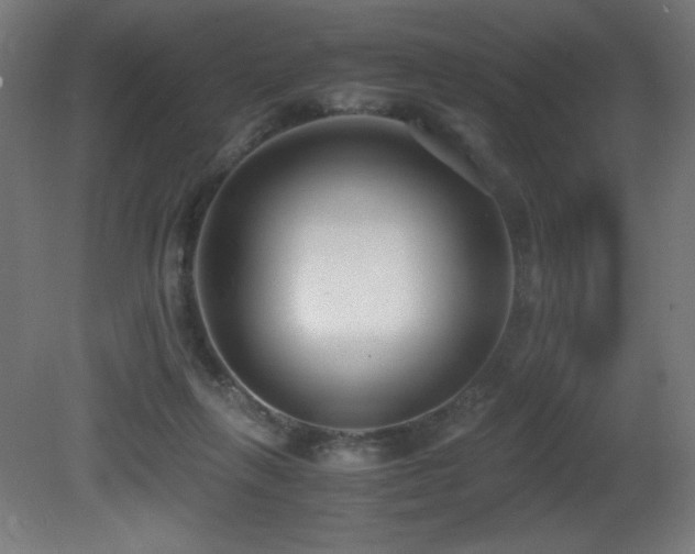 X0000081370263200701111555