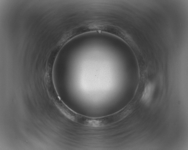 X0000081370265200701111555