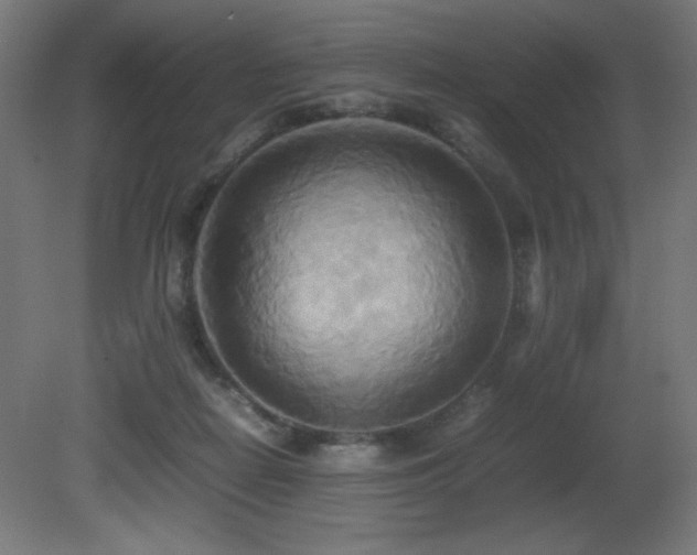 X0000081370266200701111555