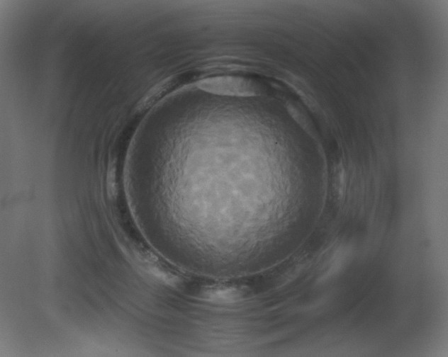 X0000081370267200701111556