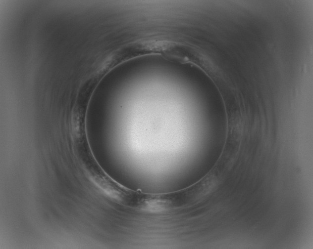 X0000081370268200701111556