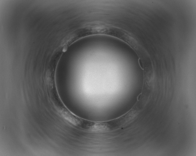 X0000081370270200701111556