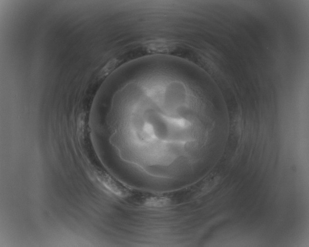 X0000081370271200701111556