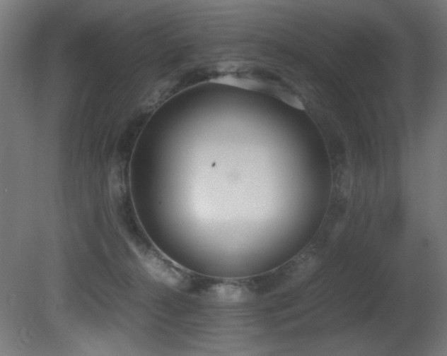 X0000081370272200701111556