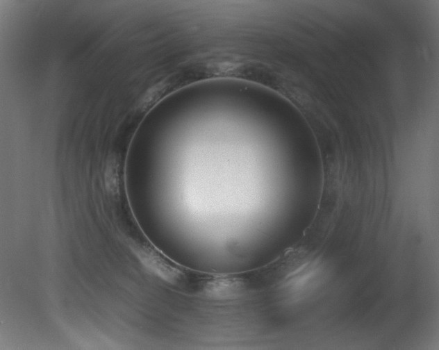 X0000081370274200701111556