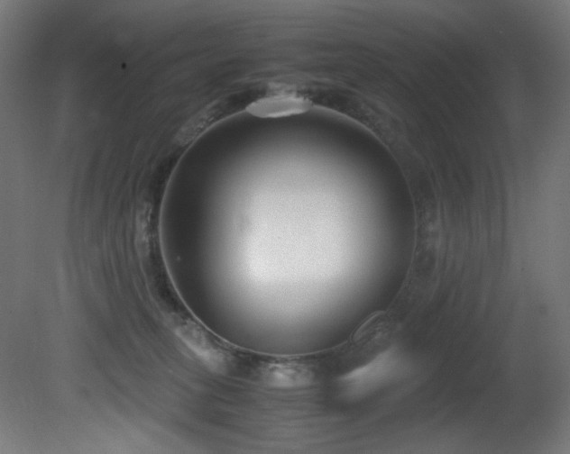X0000081370275200701111556