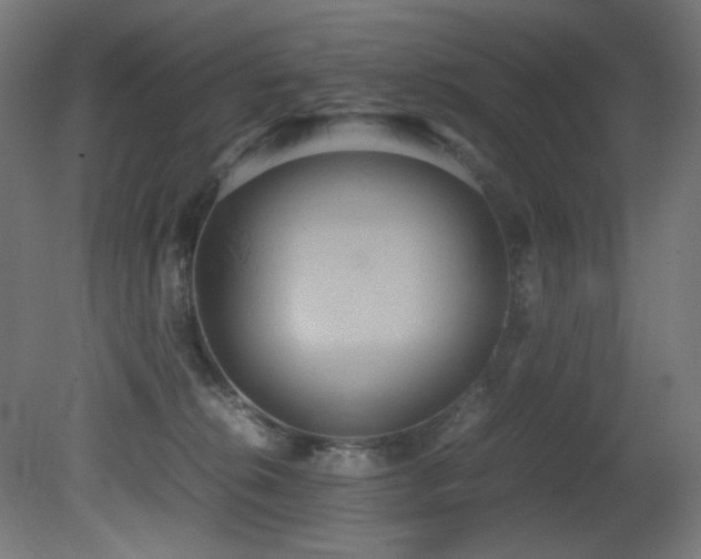 X0000081370276200701111556