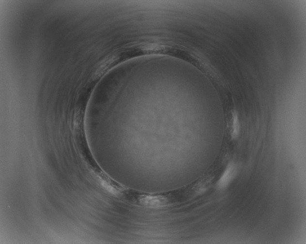 X0000081370277200701111556