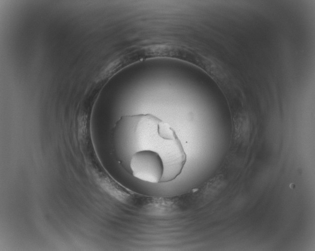 X0000081370278200701111556